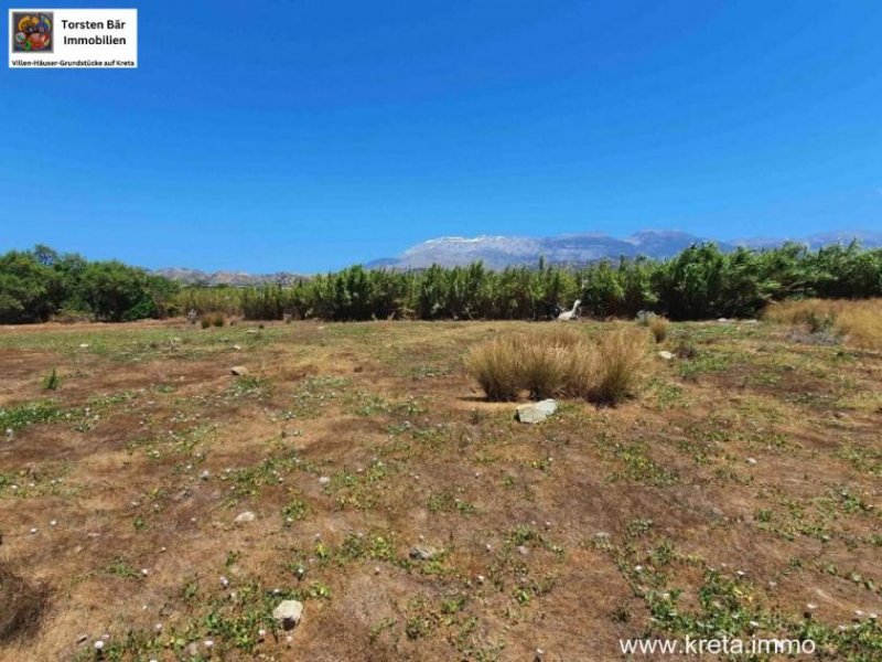 Kokkinos Pyrgos Kreta, Kokkinos Pyrgos, bebaubares Grundstück 3800m² 200m bis zum Meer Grundstück kaufen